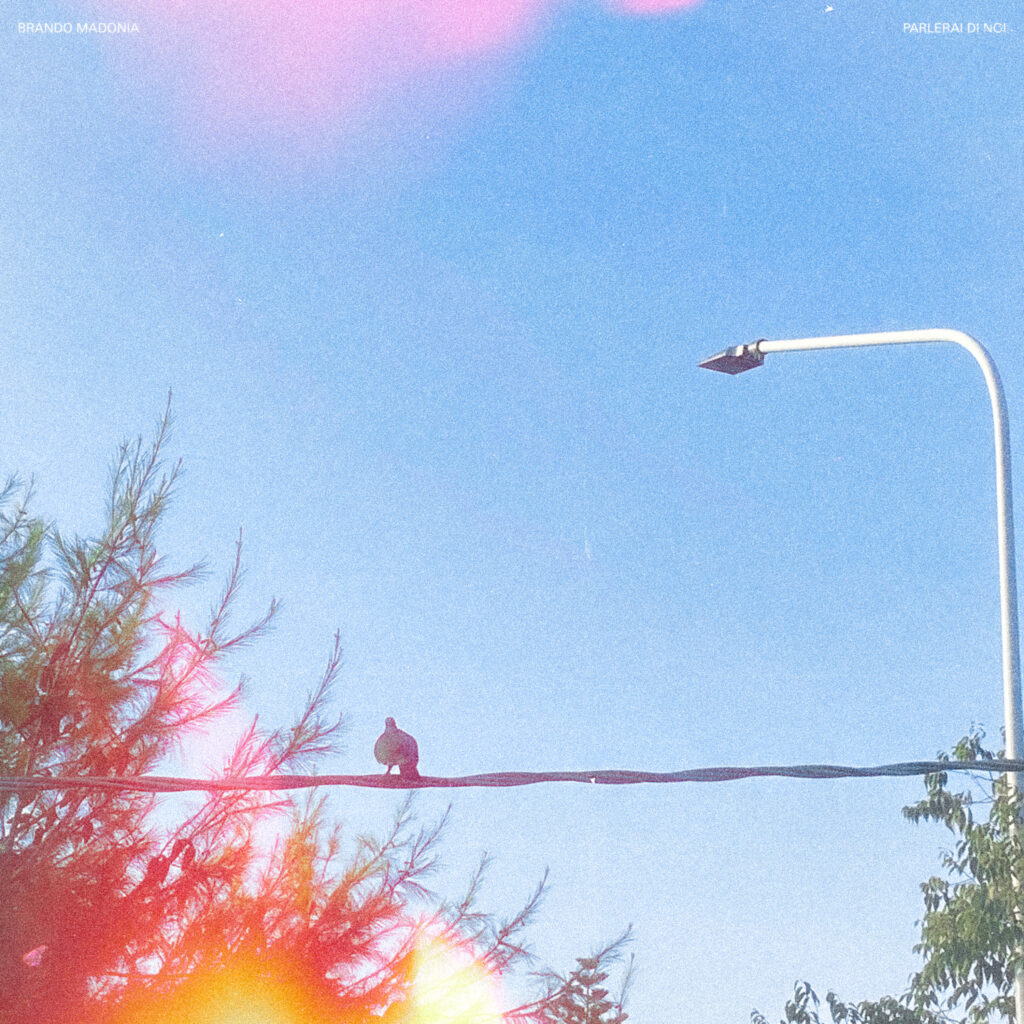 Parleraidinoi coverart