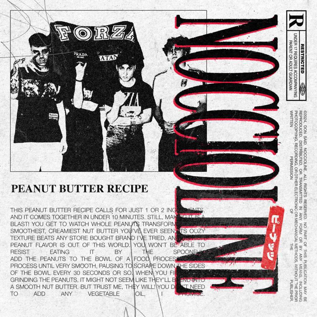 Donsaid noccioline coverart def